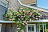 33 Baxter Road Nantucket MA