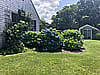 9 Lyons Lane Nantucket MA