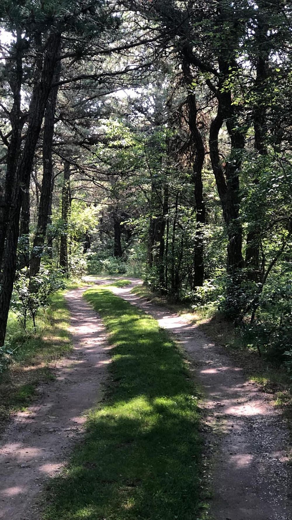 10 Rugged Road Nantucket MA