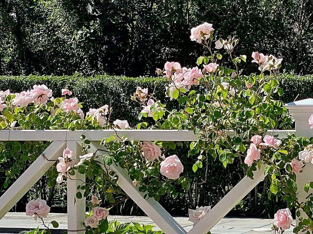 14 & 16 Coffin Street Nantucket MA