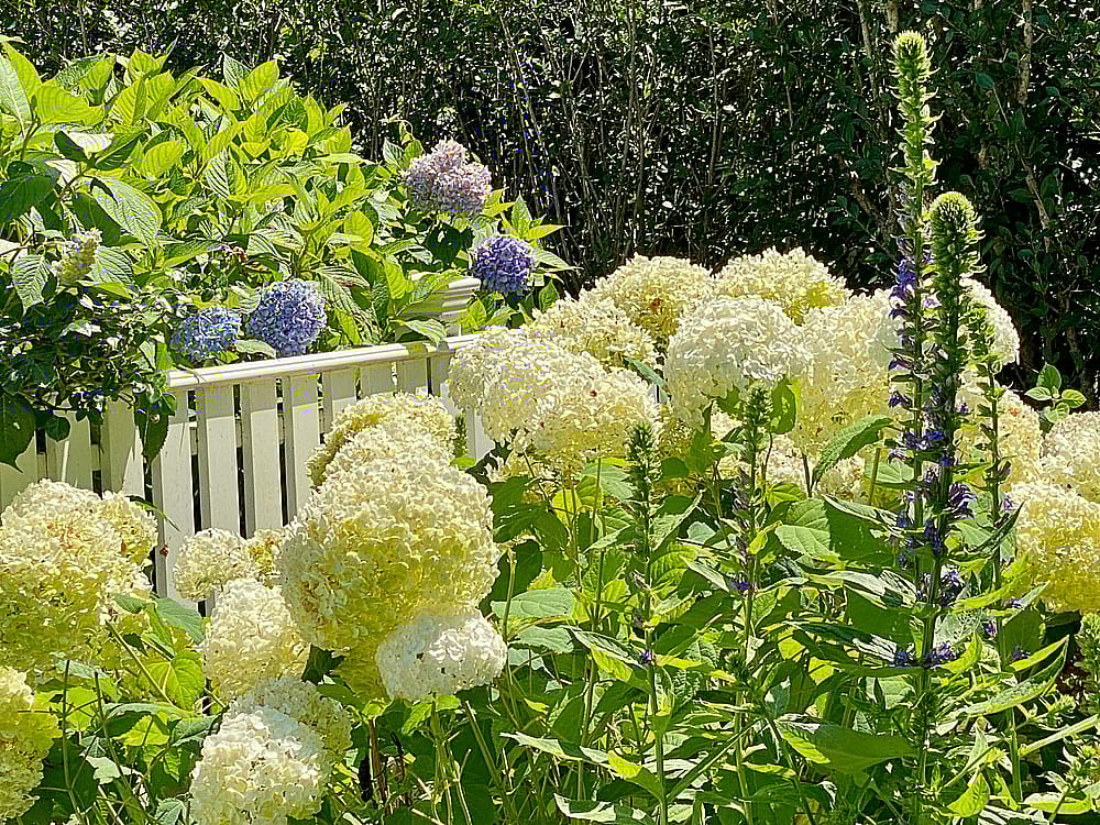 14 & 16 Coffin Street Nantucket MA