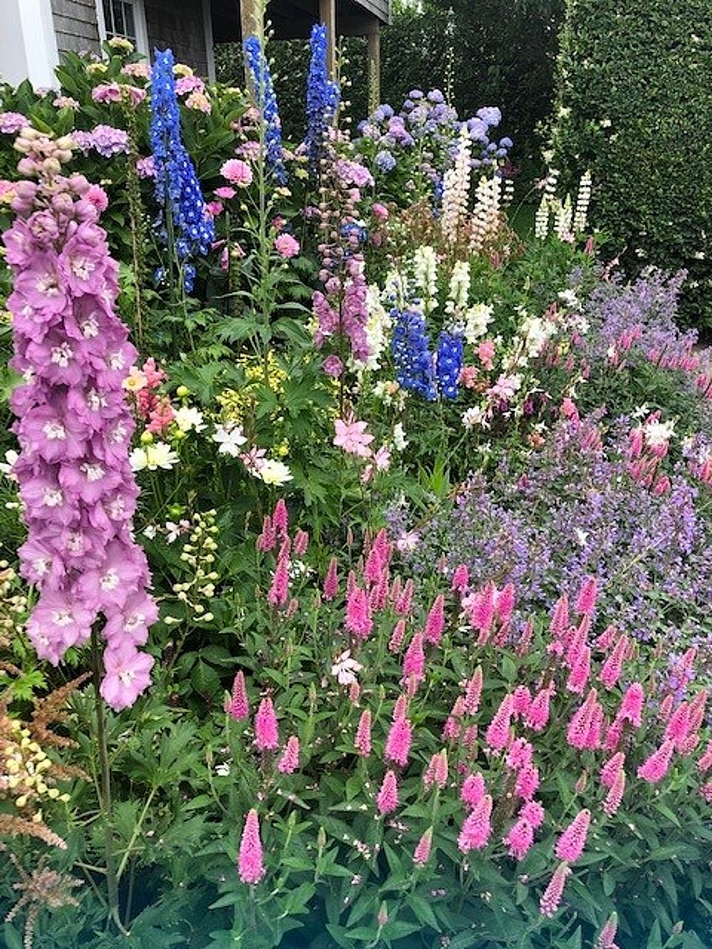 50 Walsh Street Nantucket MA