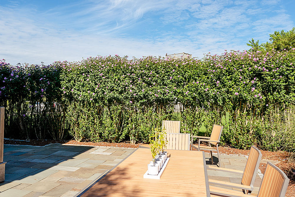 7 Lyons Lane Nantucket MA