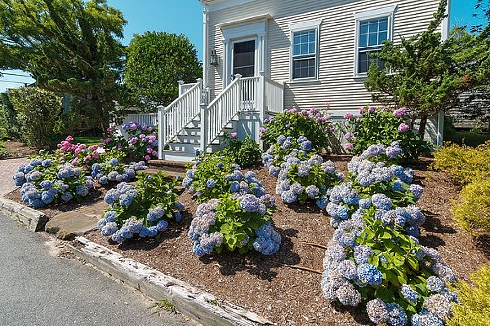 51 Union Street Nantucket MA