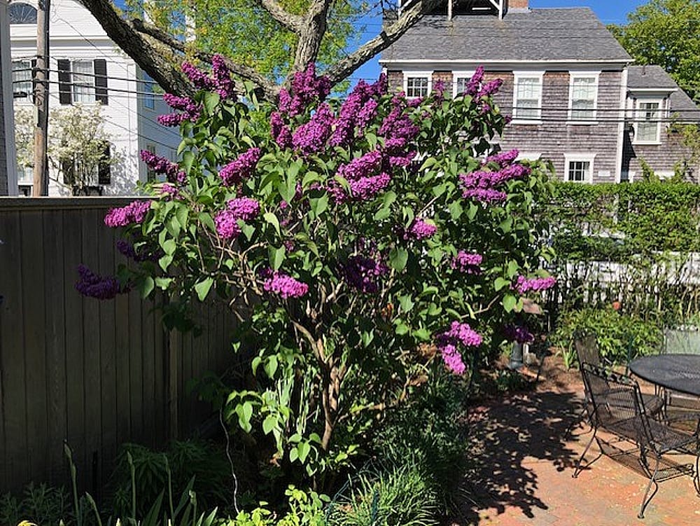 69 Orange Street Nantucket MA