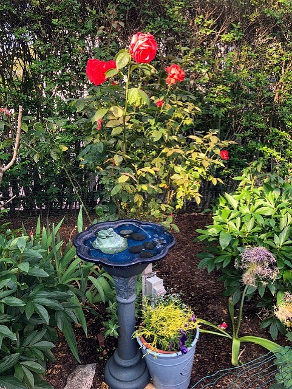 69 Orange Street Nantucket MA