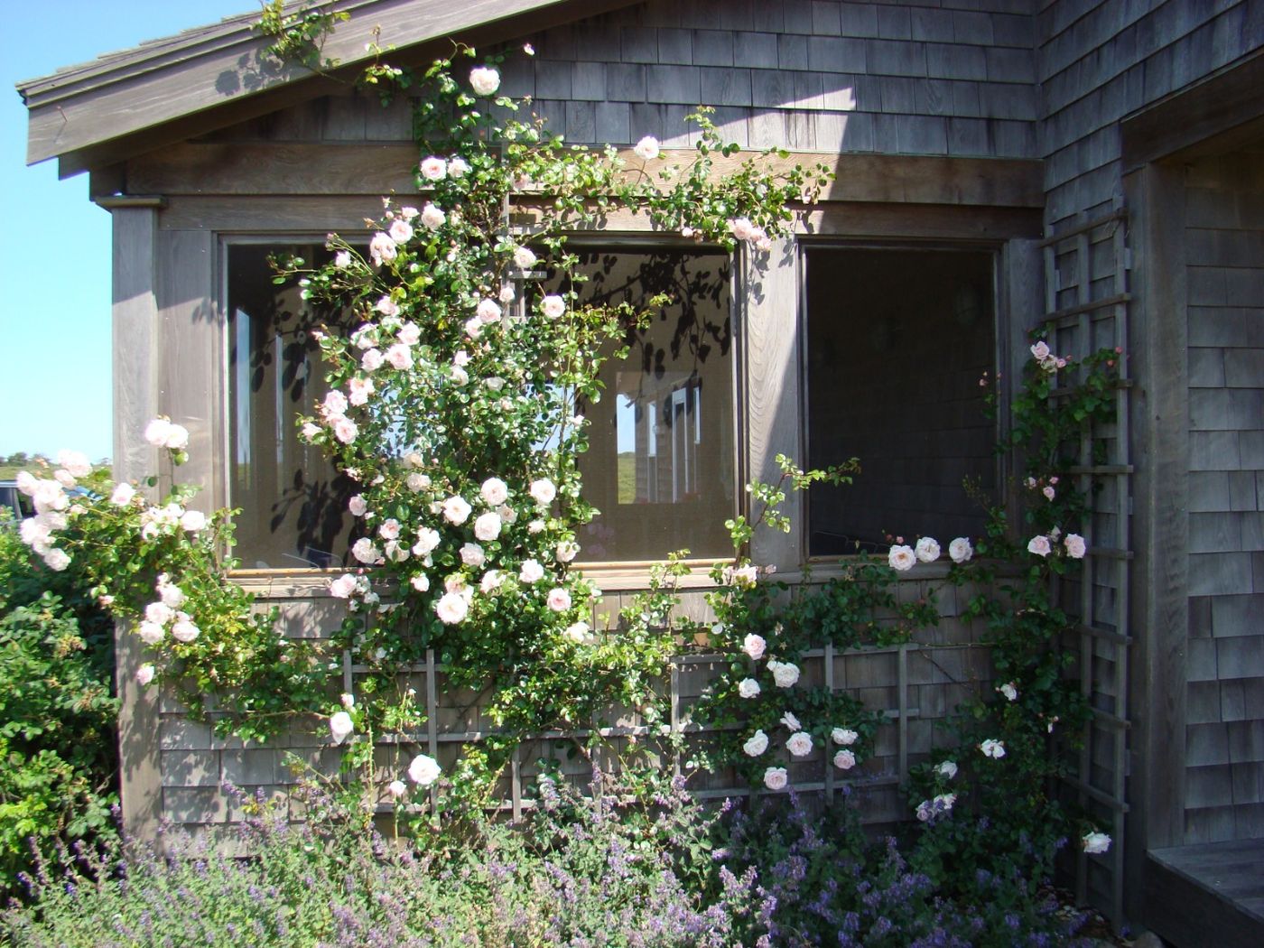 36 Sheep Pond Road Nantucket MA