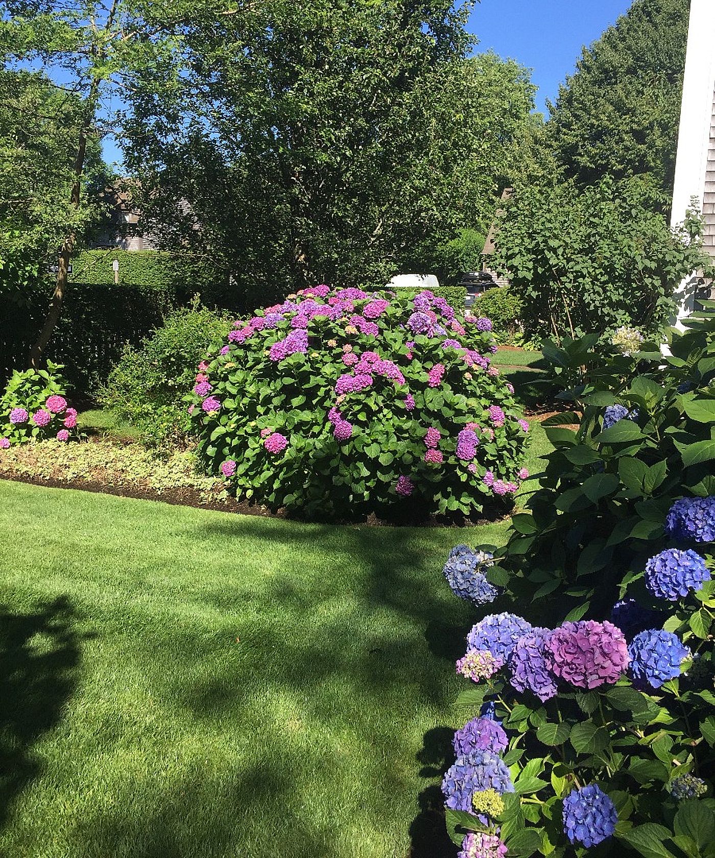 4 Bluebird Lane Nantucket MA