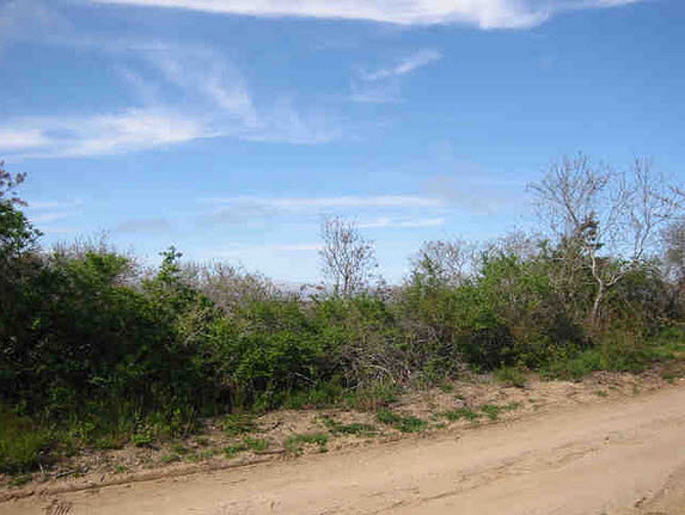 79 -85 Vestal Street Nantucket MA