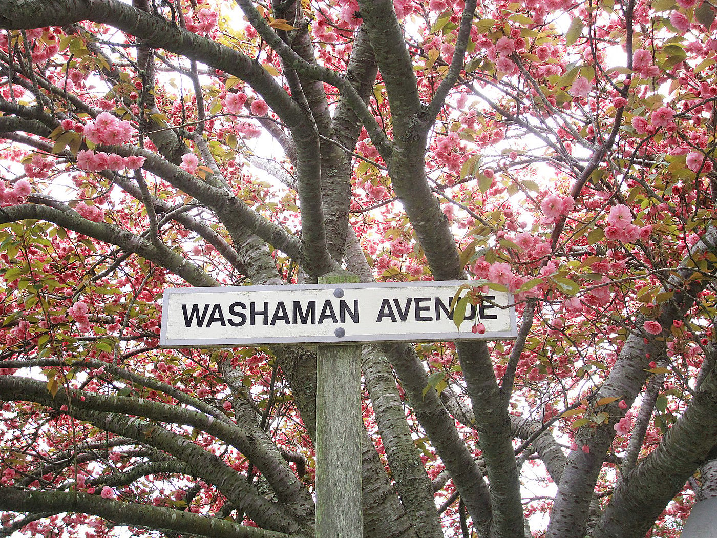 2 Washaman Avenue Nantucket MA