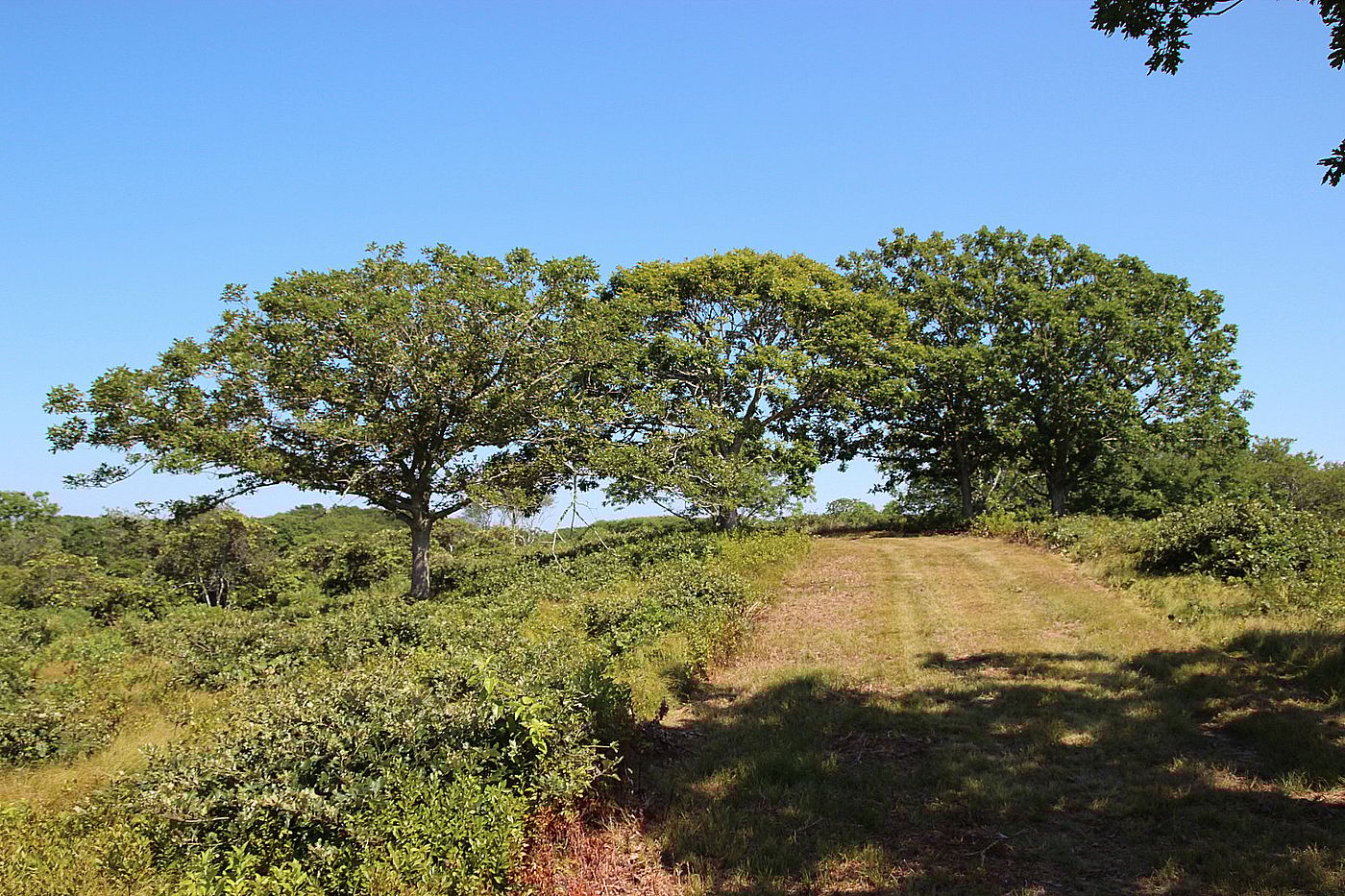 39 Almanack Pond Road Nantucket MA