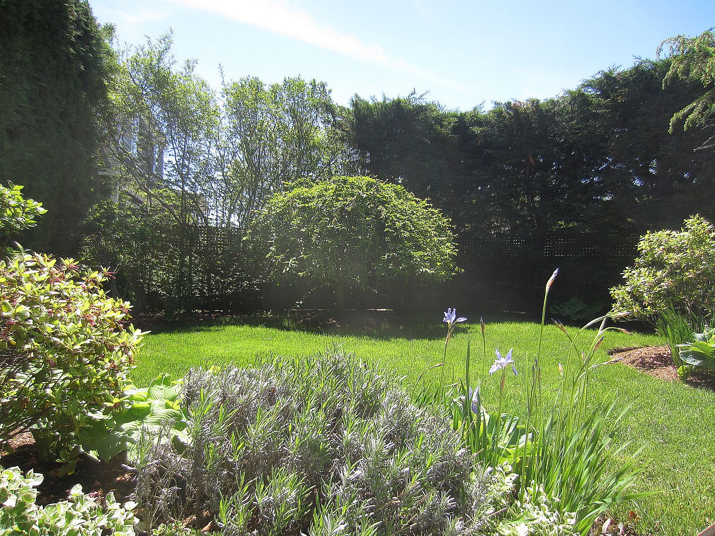51B Pleasant Street Nantucket MA