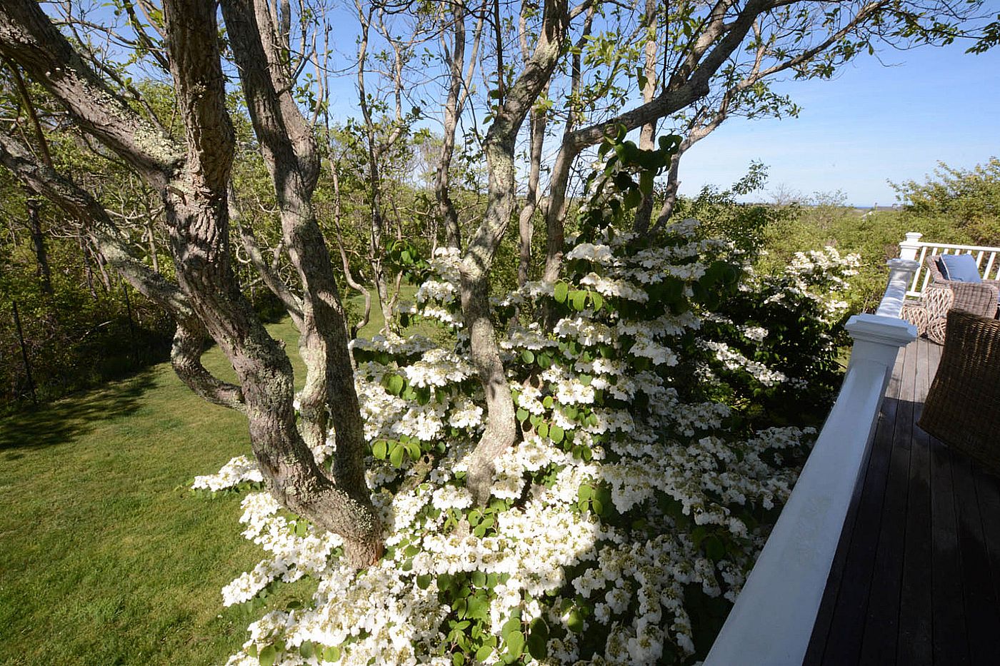6 Sandpiper Way Nantucket MA