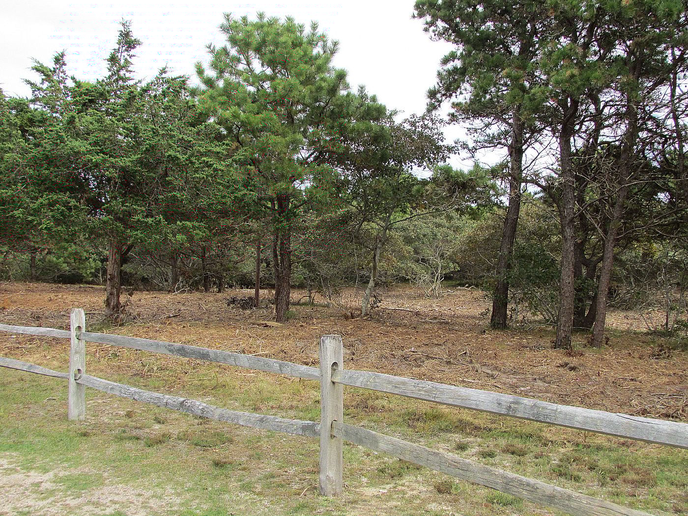 3 Upper Tawpawshaw Road Nantucket MA