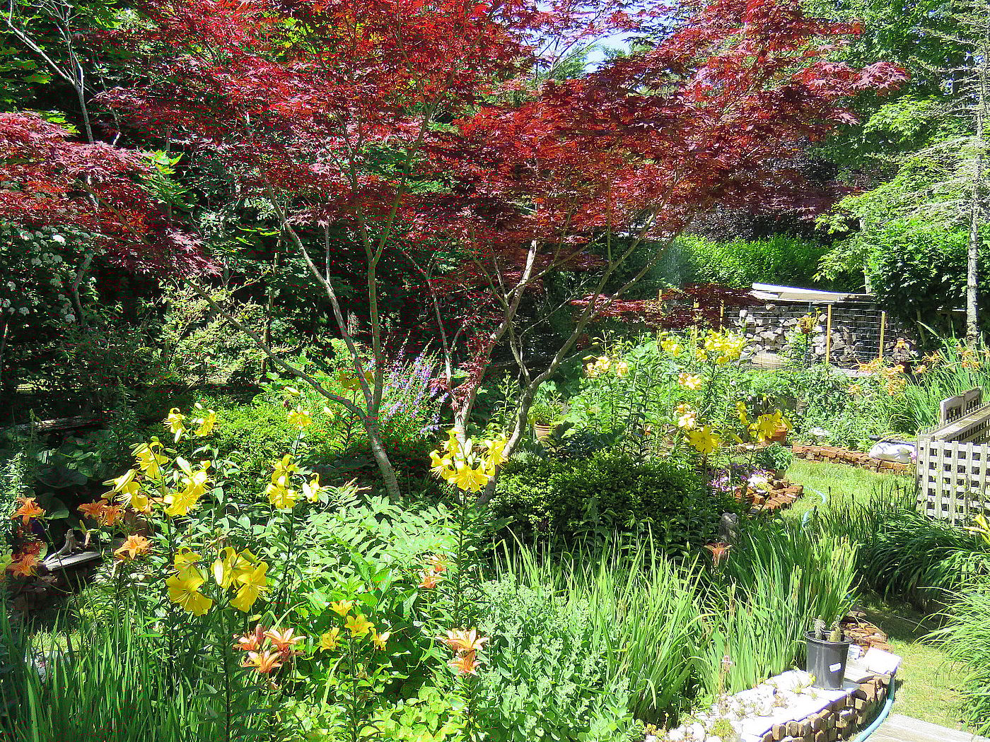 41 Hooper Farm Road Nantucket MA