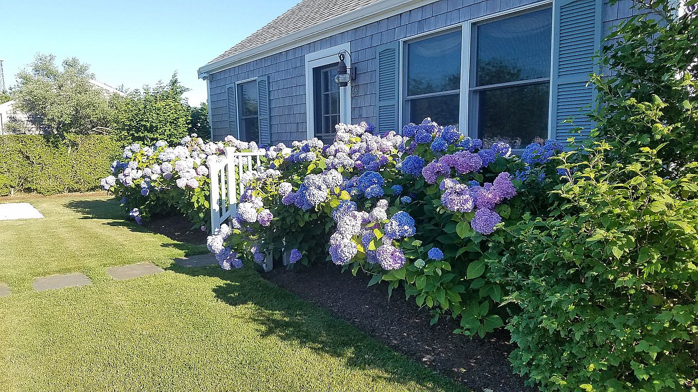 46 Vesper Lane Nantucket MA