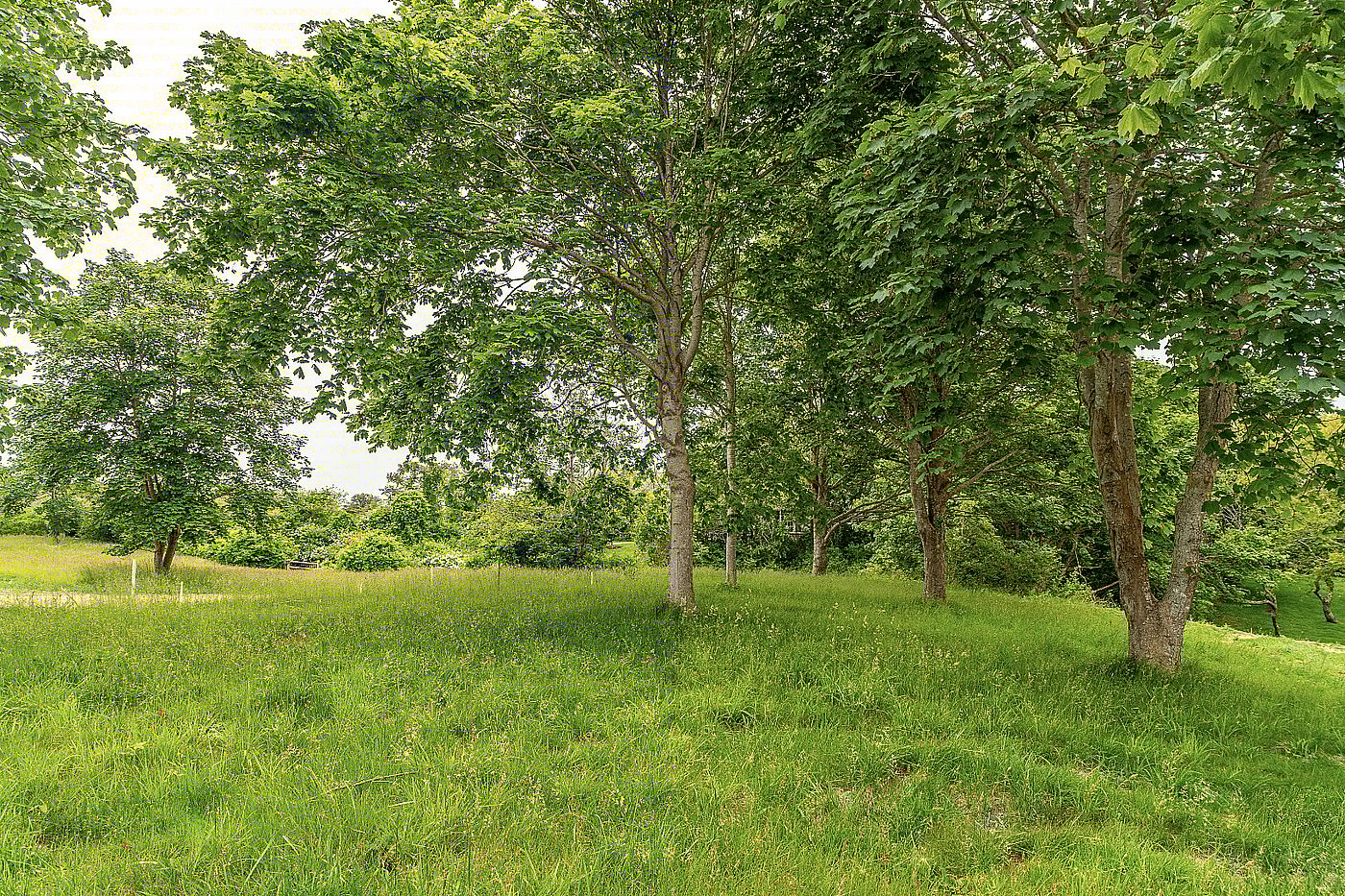 Lot 27 North Mill Street Nantucket MA