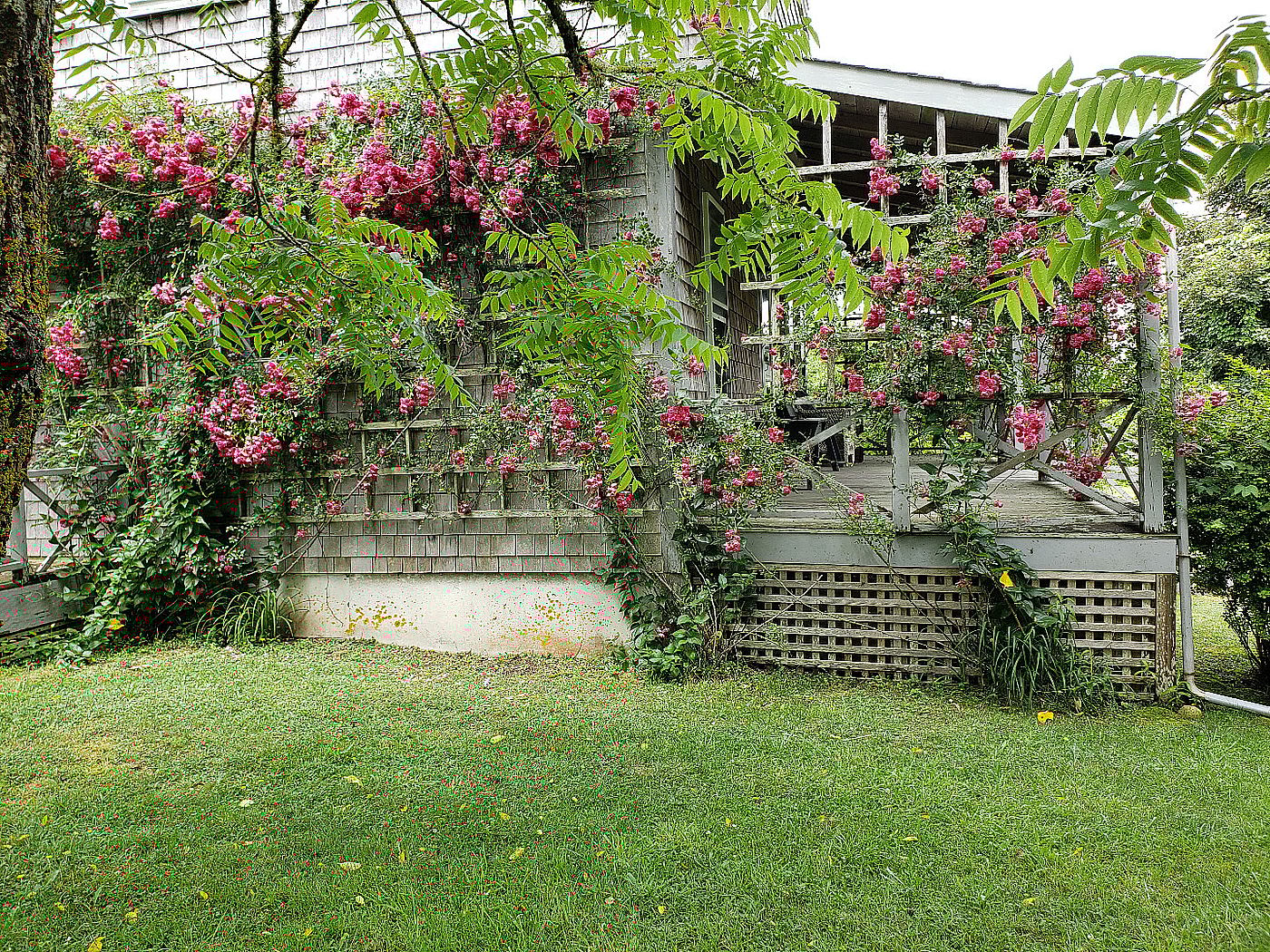 10 Everett Lane Nantucket MA
