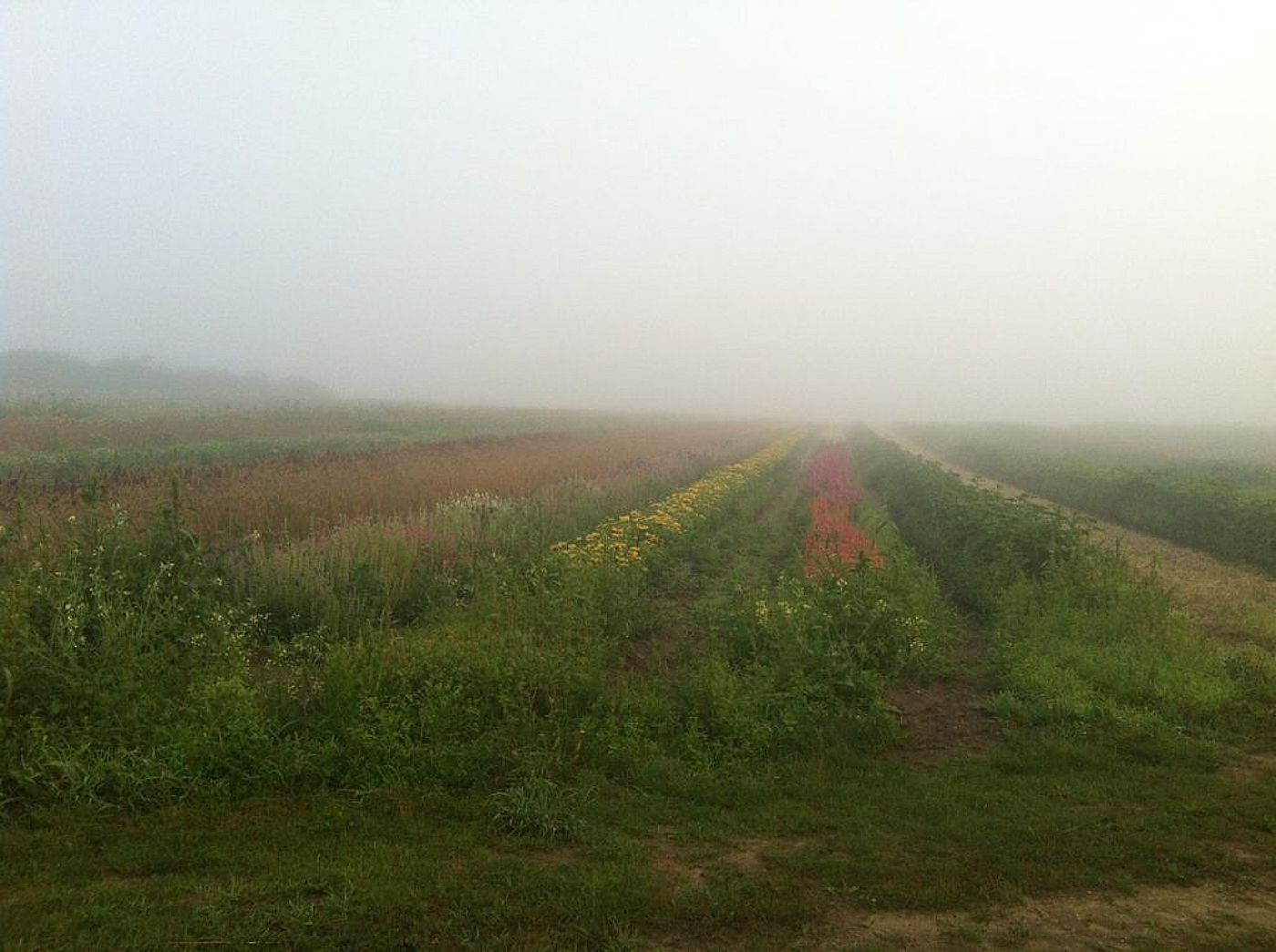 24 Bartlett Farm Road Nantucket MA