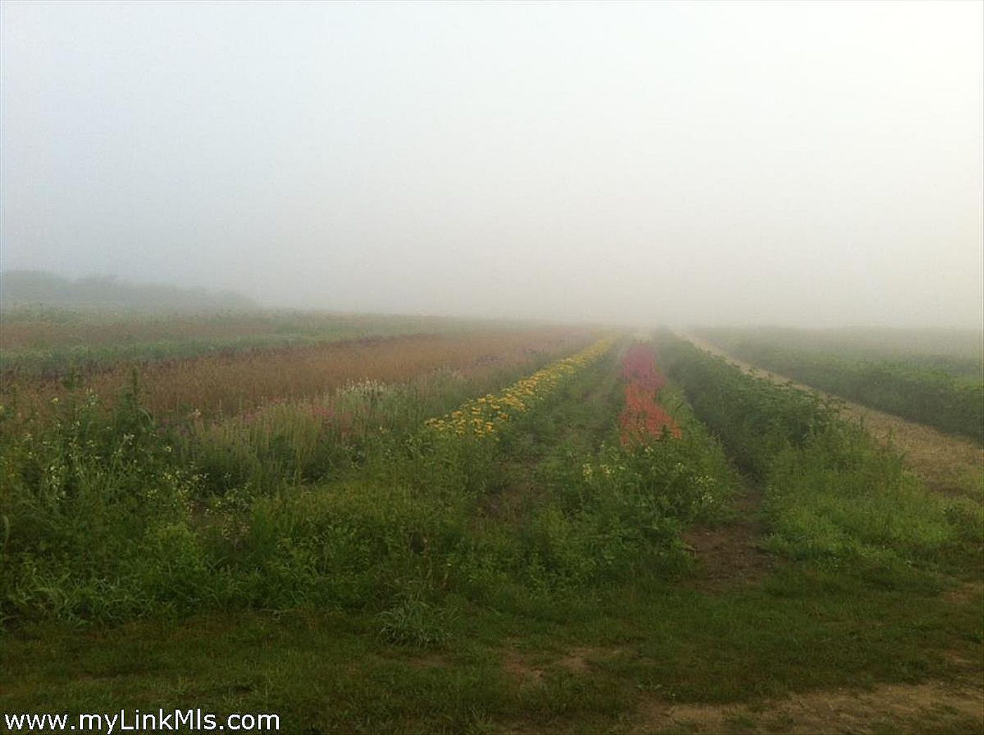 24 Bartlett Farm Road Nantucket MA