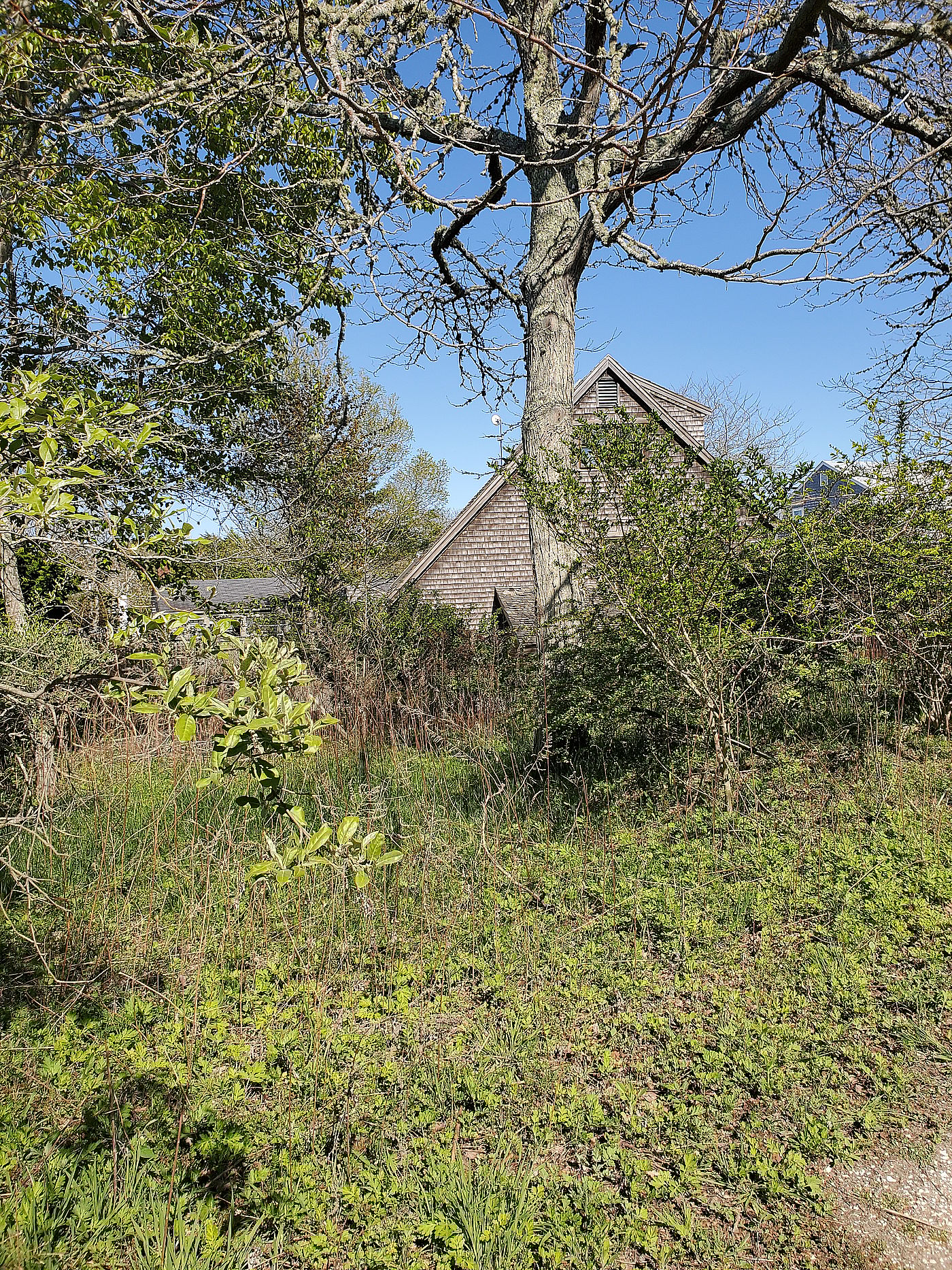 8 Winn Street Nantucket MA