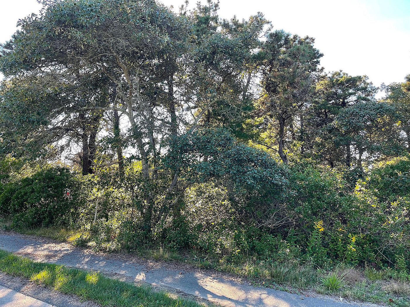6 Forrest Avenue Nantucket MA