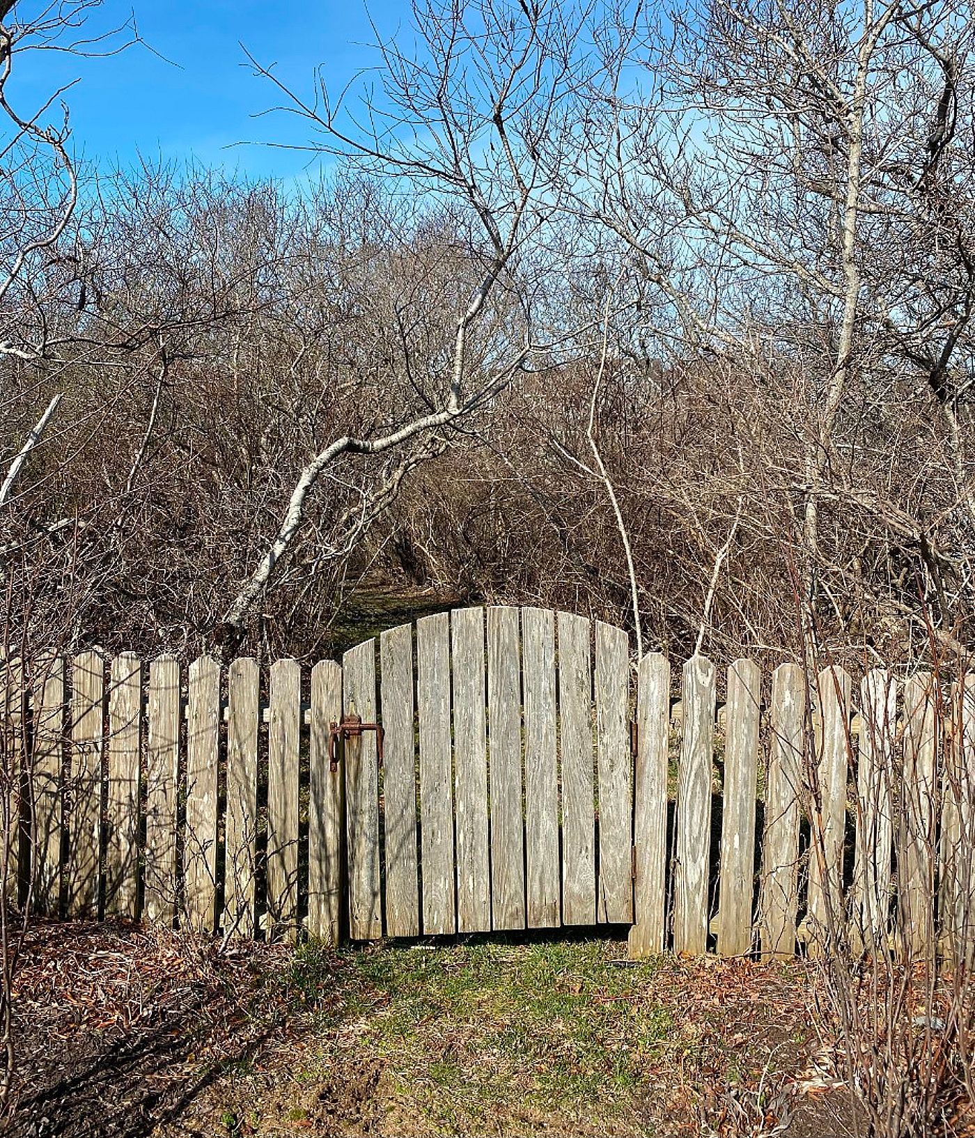 19 Sherburne Turnpike, lot A Nantucket MA