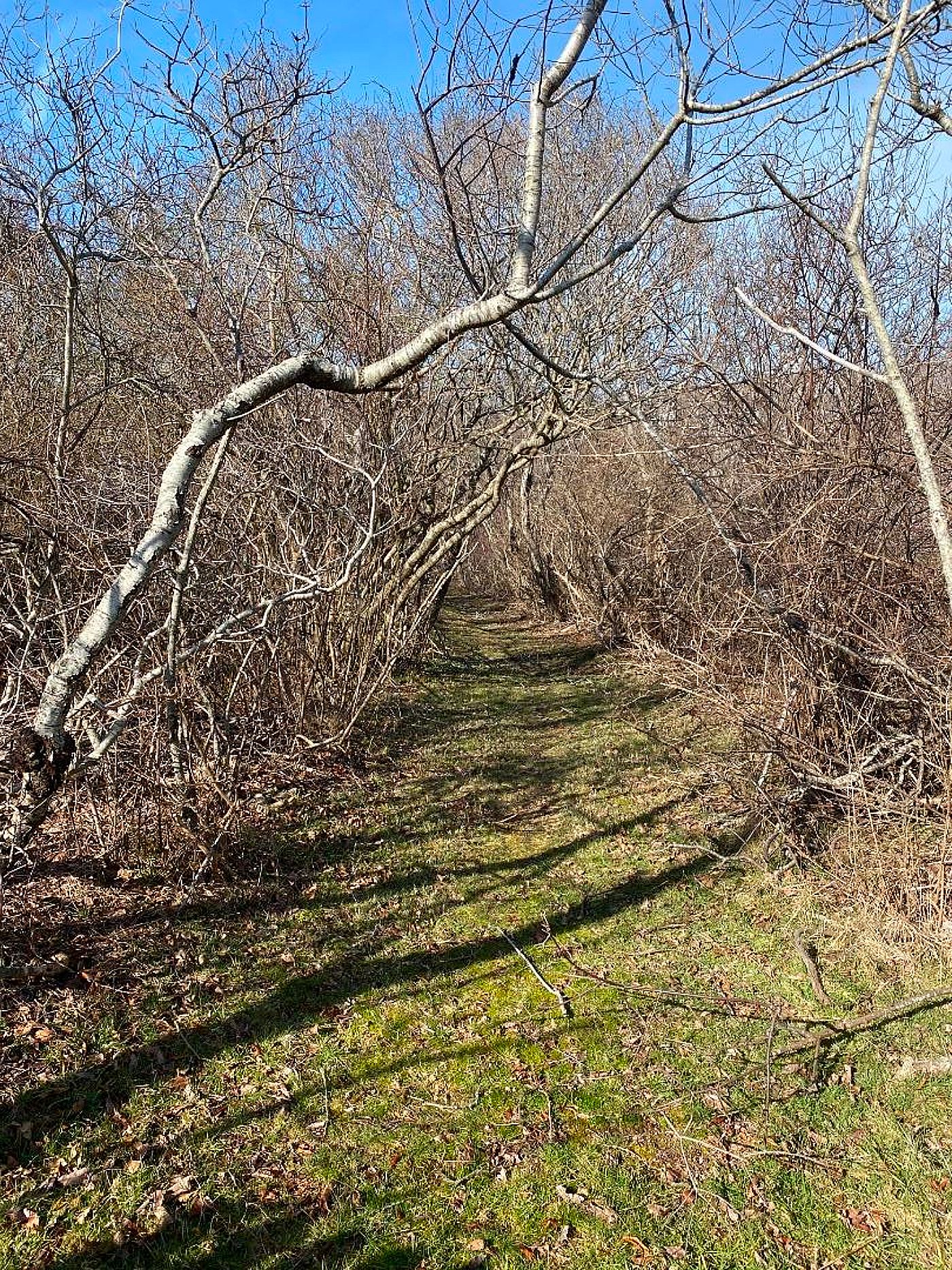 19 Sherburne Turnpike, lot A Nantucket MA