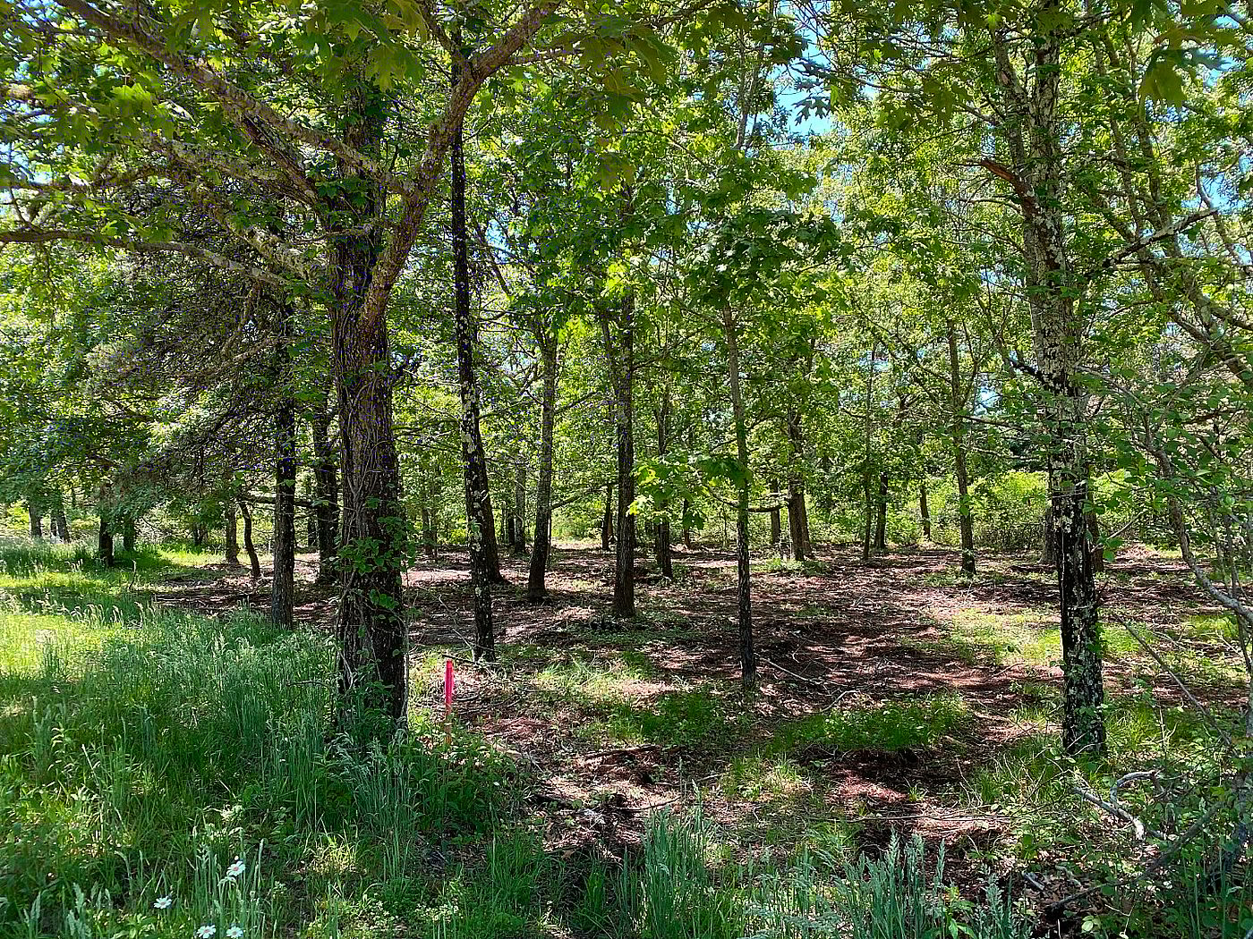 9 Correia Lane, Lot 1 Nantucket MA
