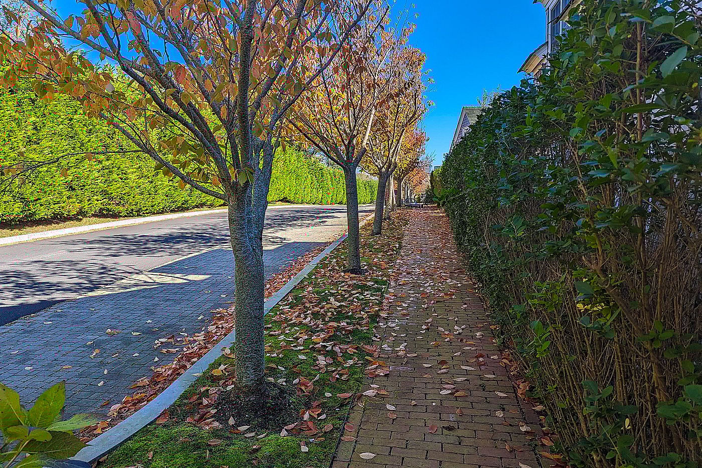 8 Red Mill Lane Nantucket MA