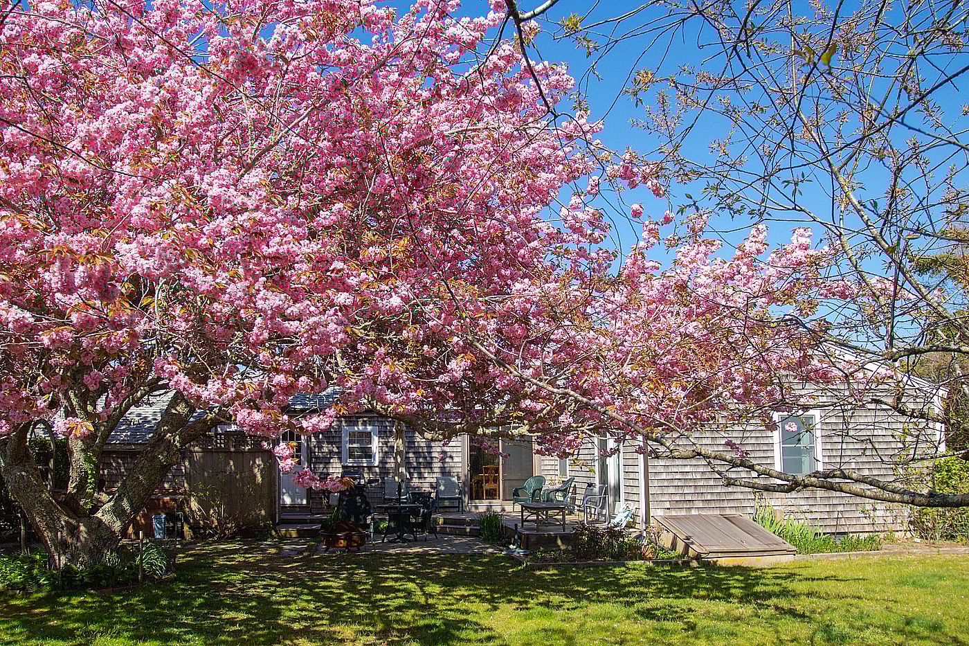 11 Newtown Road Nantucket MA