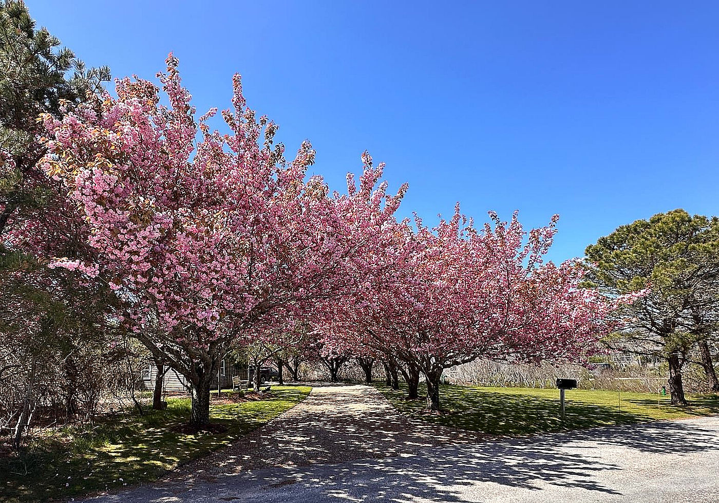 38 Long Pond Drive Nantucket MA