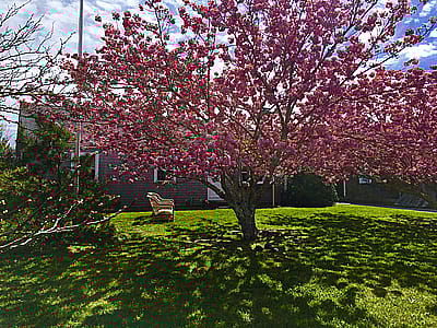 1A Thurstons Way