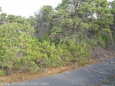 18 Rugged Road