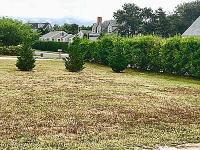 19B Waydale Road