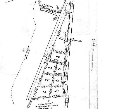 17 Miller Lane
