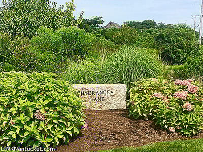 6 Hydrangea Lane