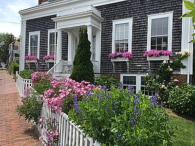 1 Ash Street