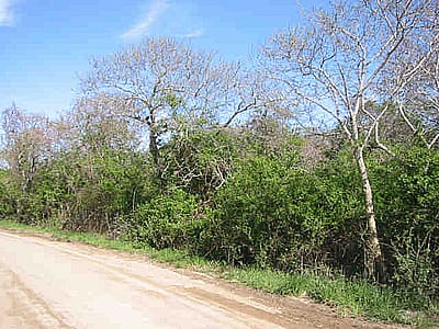 34 Dukes Road