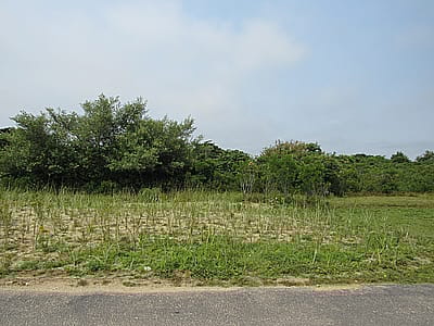 36 Cannonbury Lane