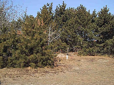 210 Eel Point Road