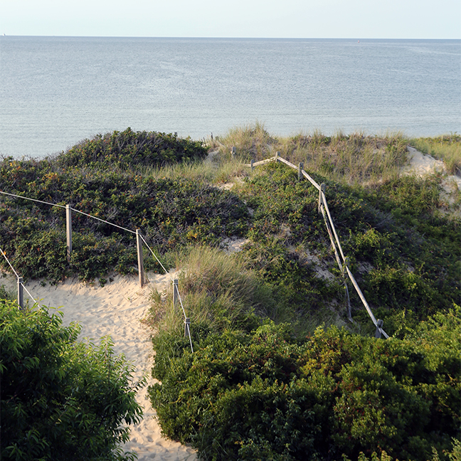 Vacation rentals for events on Nantucket 